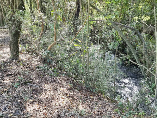 #19 - Quinta para Venta en Villarrica - IX