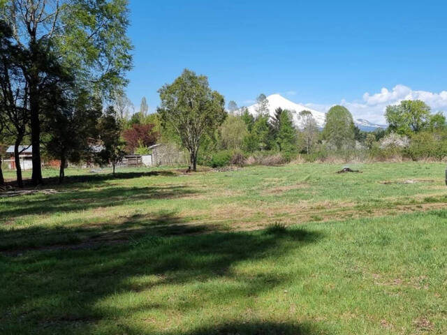 #19 - Quinta para Venta en Villarrica - IX