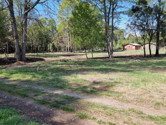 #19 - Quinta para Venta en Villarrica - IX