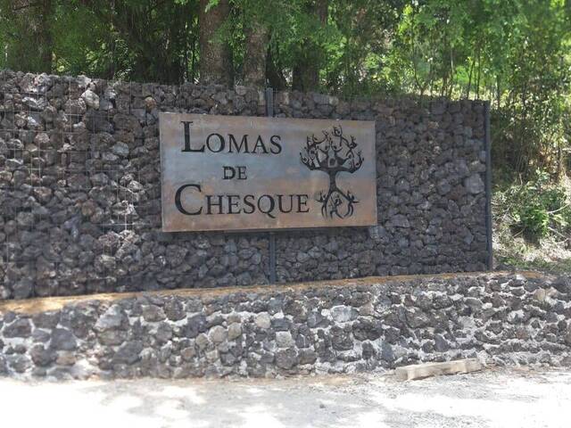#25 - Quinta para Venta en Villarrica - IX