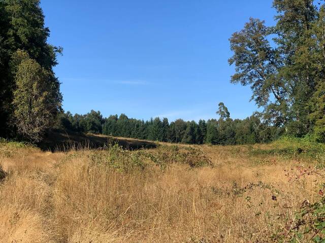 #32 - Quinta para Venta en Villarrica - IX