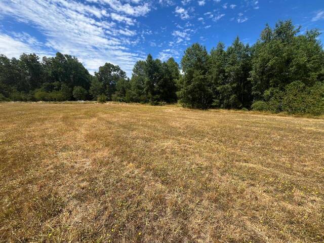 #34 - Quinta para Venta en Villarrica - IX